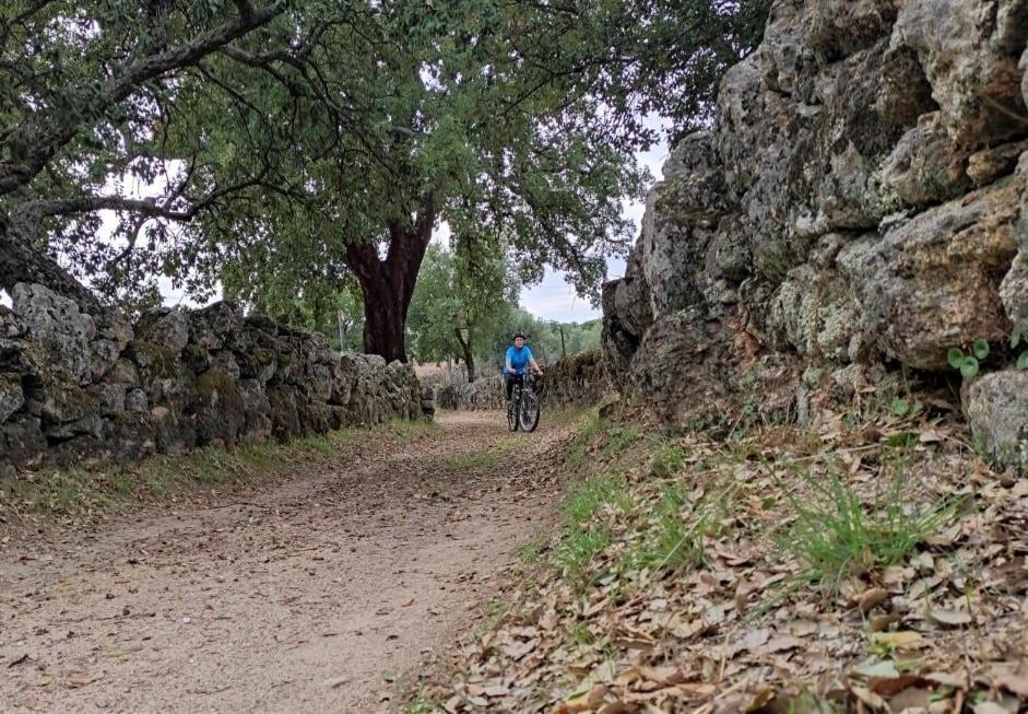Alto Do Sobreiro Villa Escalos de Cima Dış mekan fotoğraf
