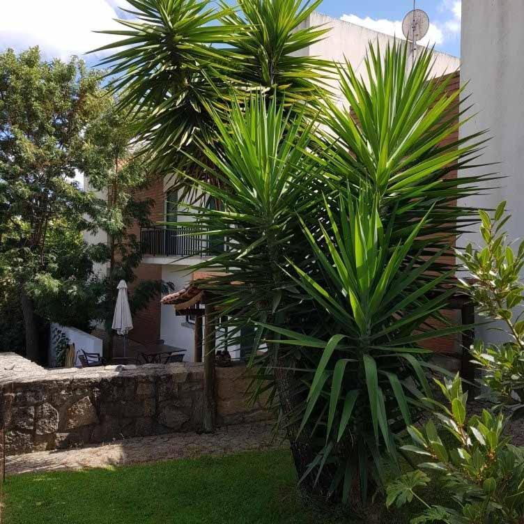 Alto Do Sobreiro Villa Escalos de Cima Dış mekan fotoğraf